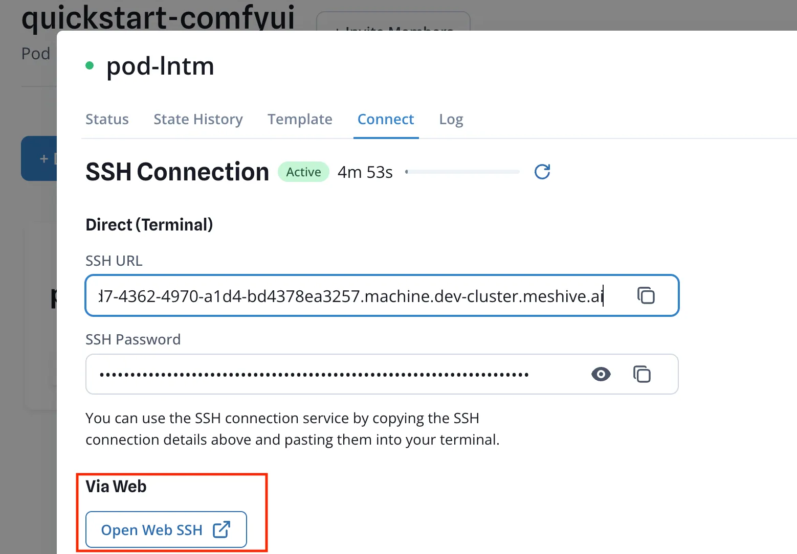 SSH terminal connected to the Pod